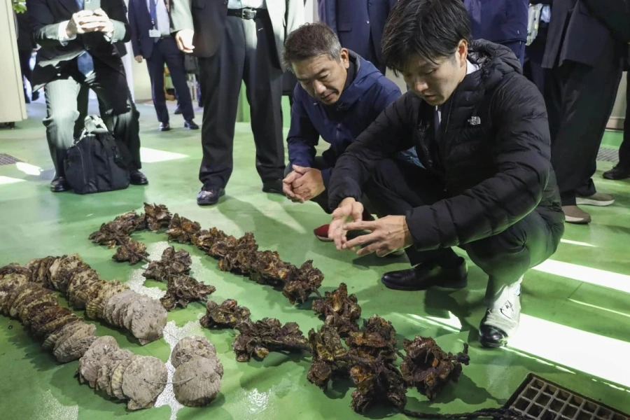Japan oysters-1764593137.webp